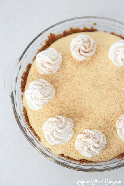 The Best Egg Nog Pie recipe featured by top Utah Foodie blog, Among the Young: image of Egg Nog Pie from above | Egg Nog Pie by popular Utah lifestyle blog, Among the Young: image of a egg nog pie. 