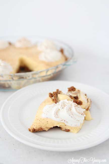 The Best Egg Nog Pie recipe featured by top Utah Foodie blog, Among the Young: image of Egg Nog pie sliced and mushed | Egg Nog Pie by popular Utah lifestyle blog, Among the Young: image of a egg nog pie. 
