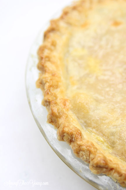 Classic pie crust recipe by top Utah Foodie Among the Young: image of perfect pie edges 