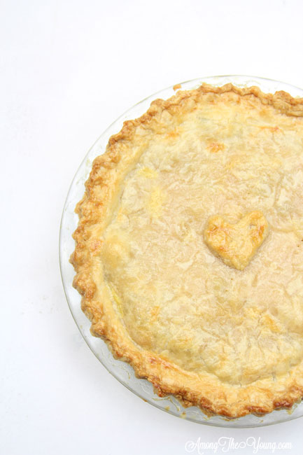 Classic pie crust recipe by top Utah Foodie Among the Young: image of pie crust from the right side 