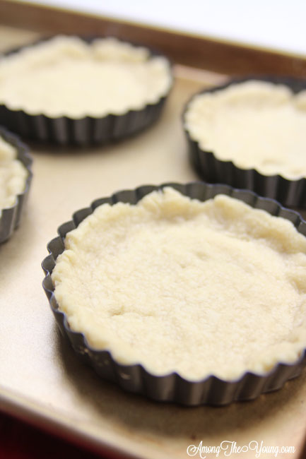 Foolproof press in pie crust recipe by top US Foodie blogger, Among the Young
