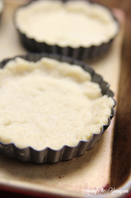 Foolproof press in pie crust recipe by top US Foodie blogger, Among the Young