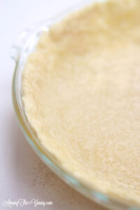 Simple and Easy Pie Crust recipe by top Utah Foodie Among the Young: image of close up pie
