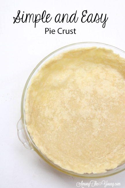 Simple and Easy Pie recipe by top Utah Foodie Among the Young: image of full pie crust PIN |Simple Pie Crust Recipe by popular Utah lifestyle blog, Among the Young: Pinterest image of a simple pie crust. 