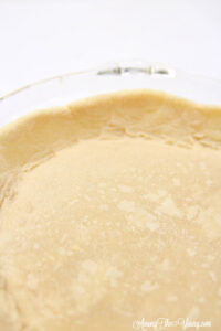 vodka pie crust recipe by top Utah Foodie Among the Young: image of super close up of pie edges