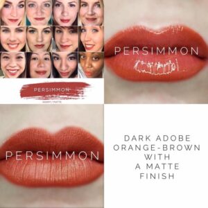 The best fall Lipsense colors featured by top Utah beauty blog Among the Young: image of Persimmon