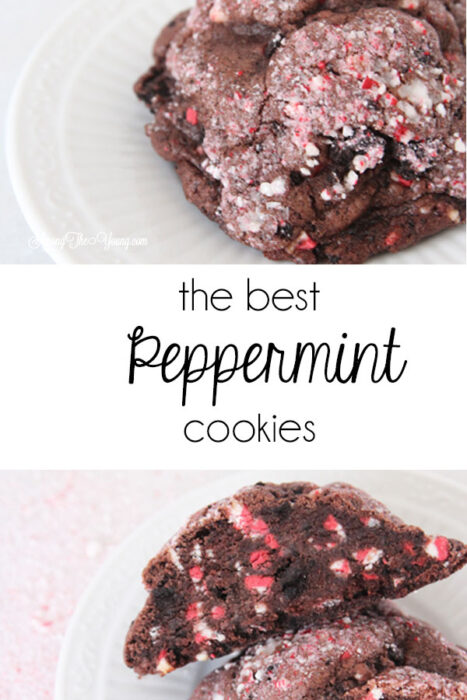 The dark chocolate peppermint cookies recipe featured by top Utah Foodie Among the Young: image of large PIN | Chocolate Peppermint Cookies by popular Utah lifestyle blog, Among the Young: Pinterest image of chocolate peppermint cookies. 