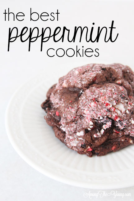The dark chocolate peppermint cookies recipe featured by top Utah Foodie Among the Young: image of cookie PIN |Chocolate Peppermint Cookies by popular Utah lifestyle blog, Among the Young: Pinterest image of chocolate peppermint cookies. 
