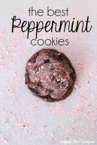 The dark chocolate peppermint cookies recipe featured by top Utah Foodie Among the Young: image of cookie in peppermint PIN