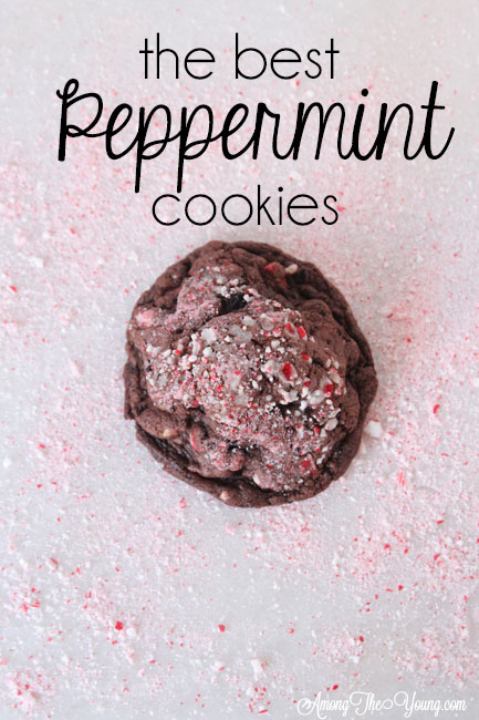 The dark chocolate peppermint cookies recipe featured by top Utah Foodie Among the Young: image of cookie in peppermint PIN |Chocolate Peppermint Cookies by popular Utah lifestyle blog, Among the Young: Pinterest image of chocolate peppermint cookies. 