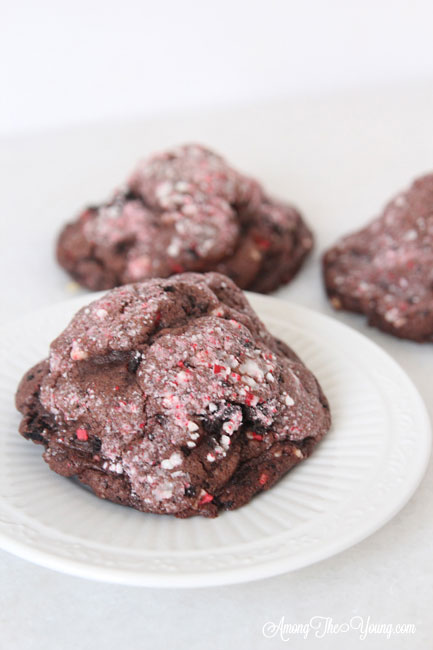 The dark chocolate peppermint cookies recipe featured by top Utah Foodie Among the Young: image of close up cookie |Chocolate Peppermint Cookies by popular Utah lifestyle blog, Among the Young: Pinterest image of chocolate peppermint cookies. 