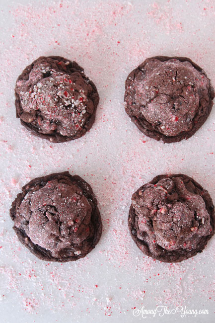 The dark chocolate peppermint cookies recipe featured by top Utah Foodie Among the Young: image of four cookies on mints |Chocolate Peppermint Cookies by popular Utah lifestyle blog, Among the Young: Pinterest image of chocolate peppermint cookies. 