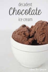 The Best Chocolate ice cream featured by top Utah Foodie blog Among the Young: image of PIN 2