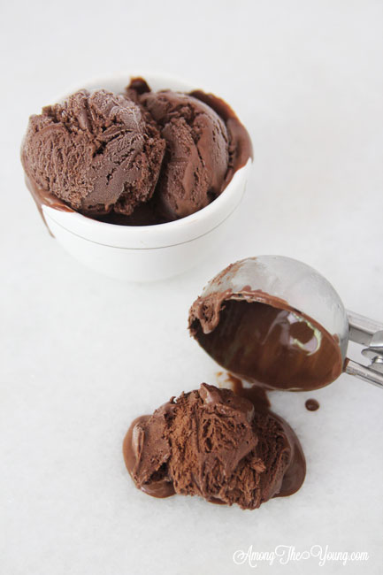 Best Chocolate Ice Cream 2021 Reviewed