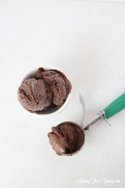 The Best Chocolate ice cream featured by top Utah Foodie blog Among the Young: image of ice cream from above | Chocolate Ice Cream Recipe by popular Utah food blog, Among the Young: image of chocolate ice cream in some white stacked ceramic bowls and a metal ice cream scoop. 