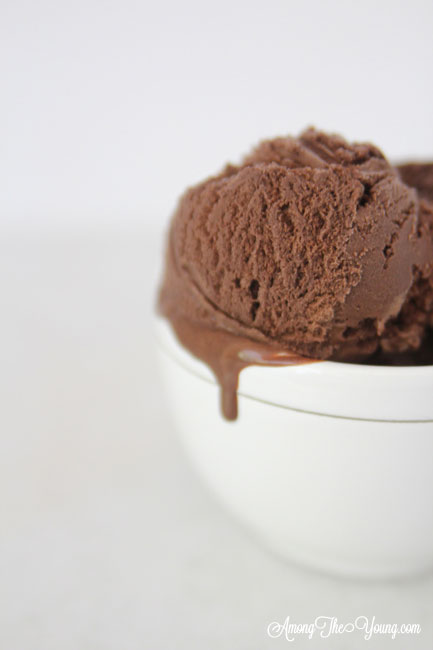 Chocolate Ice cream  Chocolate Ice cream Recipe