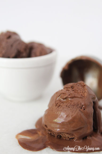 The Best Chocolate ice cream featured by top Utah Foodie blog Among the Young: image of ice cream scoop | Chocolate Ice Cream Recipe by popular Utah food blog, Among the Young: image of chocolate ice cream in some white stacked ceramic bowls and a metal ice cream scoop. 