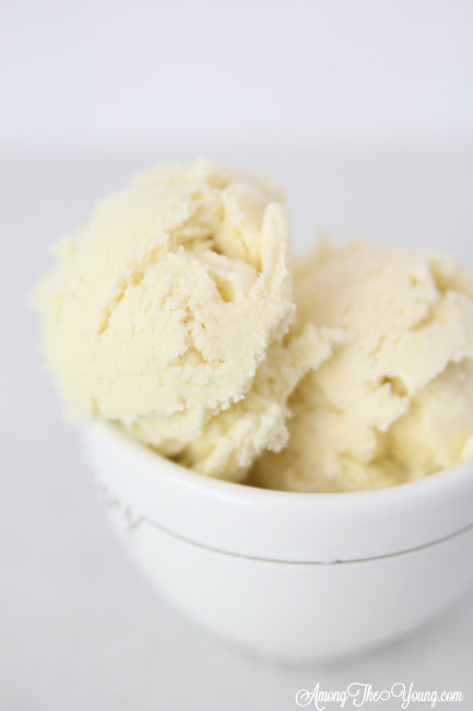 The Best vanilla bean ice cream featured by top Utah Foodie blog Among the Young: image of vanilla bean ice cream in a bowl close up