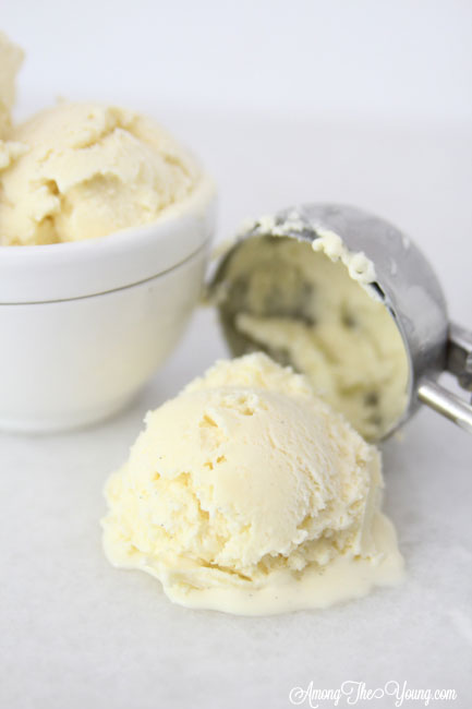 Homemade Vanilla Bean Ice Cream - Don't Waste the Crumbs