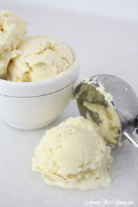 The Best vanilla bean ice cream featured by top Utah Foodie blog Among the Young: image of vanilla bean ice cream scoop